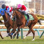 第42回 フェアリーS 回顧