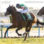 第60回シンザン記念 回顧