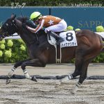 次走の狙い馬(1月4・5日 栗東組)