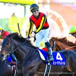 第70回 有馬記念 回顧