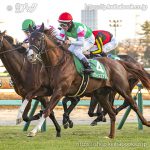 第66回 京成杯 回顧