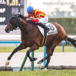 次走の狙い馬（1月17・18日 栗東組）