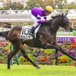 次走の狙い馬(1月10日・11日・12日 美浦組)