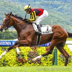 次走の狙い馬(1月18日 美浦組)