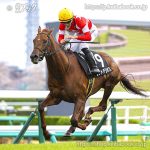 次走の狙い馬（12月27日・28日 美浦組）