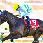 第67回 アメリカＪＣＣ 回顧