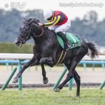 第66回きさらぎ賞 回顧