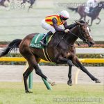 第61回 クイーンカップ 回顧