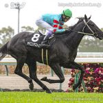 次走の狙い馬(2月21日 栗東組)