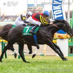 第76回 東京新聞杯 回顧