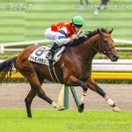 次走の狙い馬（1月31日・2月1日 美浦組）