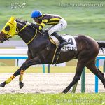 次走の狙い馬（1月31日・2月1日 栗東組）