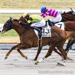 次走の狙い馬(2月7・8日 栗東組)