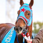 第31回シルクロードＳ 回顧