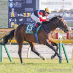 第76回 ダイヤモンドS 回顧