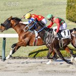 【競走取り止め】スライド出走馬一覧 2/28