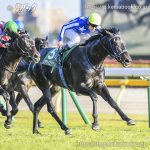 第60回 共同通信杯 回顧