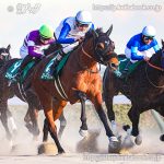 第40回 根岸Ｓ 回顧