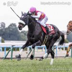 第119回京都記念 回顧