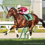 第70回阪急杯 回顧