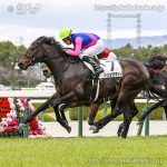 次走の狙い馬（3月15日 栗東組）