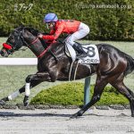 次走の狙い馬（2月28日 栗東組）