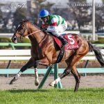 第100回 中山記念 回顧