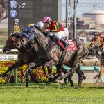 第75回 スプリングＳ 回顧