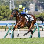 次走の狙い馬（3月14日・15日 美浦組）