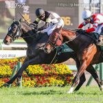 第21回 オーシャンＳ 回顧