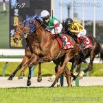 第60回フィリーズレビュー 回顧