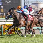 第63回 弥生賞ディープインパクト記念 回顧