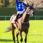 第33回チューリップ賞 回顧